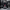 Entry - Level Vlog Creator Kit – Light, Sound, and Stability for Professional Shooting - ROODTUO