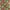 Gift - Paper - Wrapping: Must be Purchased with Other Products, NOT Shipped Separately - ROODTUO