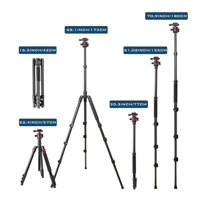 T175BM 2 - in - 1 Tripod & Monopod with 360° Ball Head, Lightweight Aluminum, Max Height 180cm, Supports Up to 5kg - ROODTUO