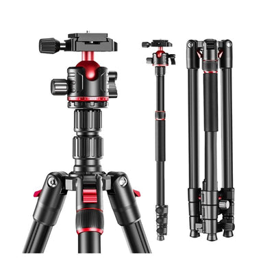 T175BM 2 - in - 1 Tripod & Monopod with 360° Ball Head, Lightweight Aluminum, Max Height 180cm, Supports Up to 5kg - ROODTUO