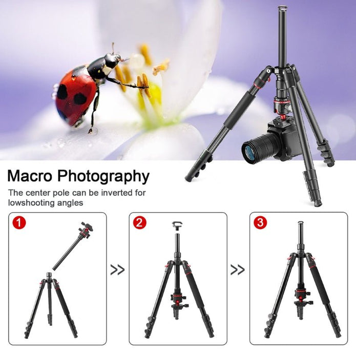 T175BM Pre - Order 2 - in - 1 Tripod & Monopod with 360° Ball Head, Lightweight Aluminum, Max Height 180cm, Supports Up to 5kg - ROODTUO