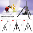 T175BM Pre - Order 2 - in - 1 Tripod & Monopod with 360° Ball Head, Lightweight Aluminum, Max Height 180cm, Supports Up to 5kg - ROODTUO