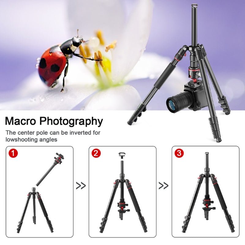 T175BM Pre - Order 2 - in - 1 Tripod & Monopod with 360° Ball Head, Lightweight Aluminum, Max Height 180cm, Supports Up to 5kg - ROODTUO