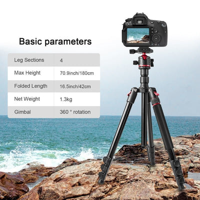 T175BM 2 - in - 1 Tripod & Monopod with 360° Ball Head, Lightweight Aluminum, Max Height 180cm, Supports Up to 5kg - ROODTUO