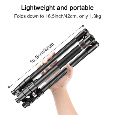 T175BM 2 - in - 1 Tripod & Monopod with 360° Ball Head, Lightweight Aluminum, Max Height 180cm, Supports Up to 5kg - ROODTUO