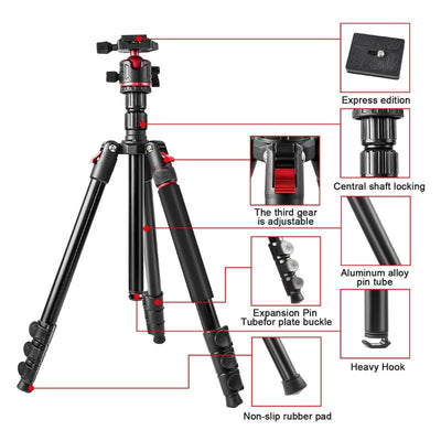 T175BM 2 - in - 1 Tripod & Monopod with 360° Ball Head, Lightweight Aluminum, Max Height 180cm, Supports Up to 5kg - ROODTUO