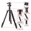 T175BM Pre - Order 2 - in - 1 Tripod & Monopod with 360° Ball Head, Lightweight Aluminum, Max Height 180cm, Supports Up to 5kg - ROODTUO
