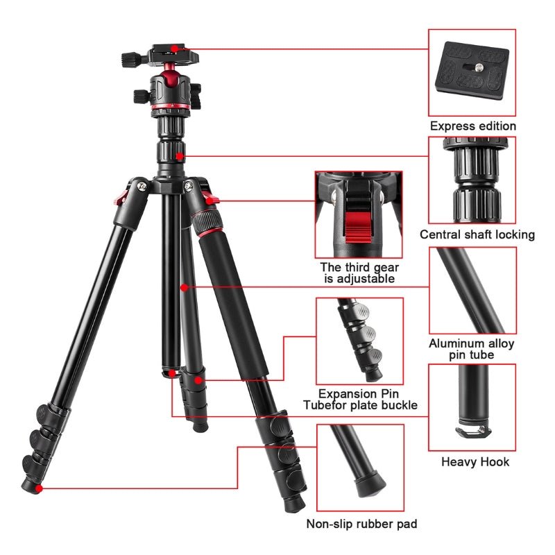 T175BM Pre - Order 2 - in - 1 Tripod & Monopod with 360° Ball Head, Lightweight Aluminum, Max Height 180cm, Supports Up to 5kg - ROODTUO