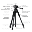 T200D Premium and Adjustable Phone Camera Tripod for Professional Photography - ROODTUO