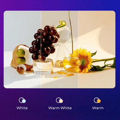 WL62 Mini Portable Pocket Light - Mobile Phone Fill Light with 3 Color Temperatures & Adjustable 3000k - 6000k - ROODTUO